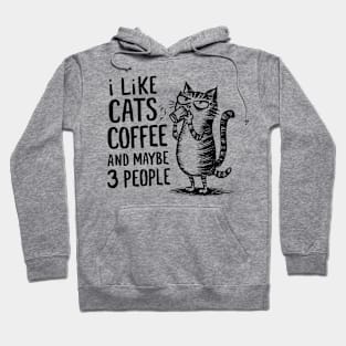 I Like Cats and Maybe 3 People | Sarcasm Hoodie